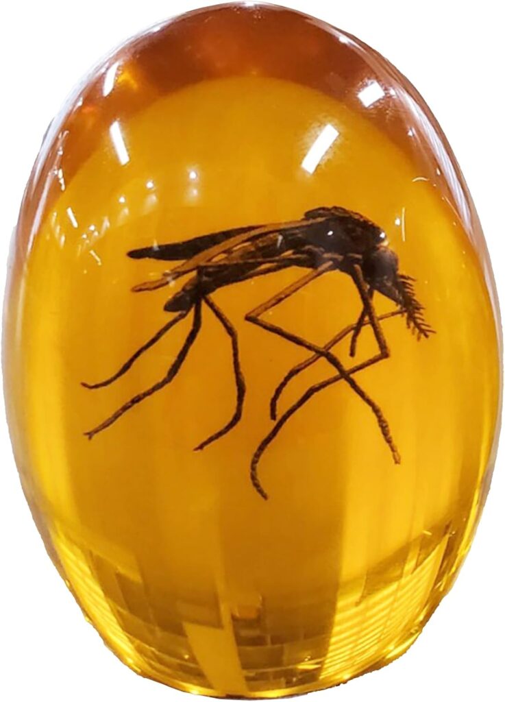 Jurassic Mosquito in Amber | Durable Resin Encased Detailed 2D Insect. Perfect for Collectors and Enthusiasts | Paperweight, Aged Effect, Desk Ornament